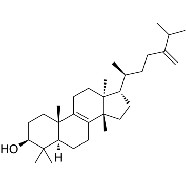 Euphorbadienol
