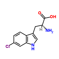 6-氯-D-色氨酸