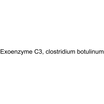 胞外酶 C3
