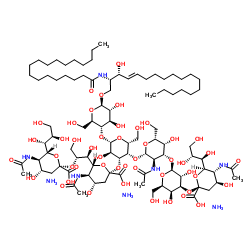 三唾液酸神经节甘酯GT1B