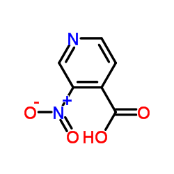 3-硝基-4-吡啶羧酸
