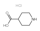 4-哌啶甲酸盐酸盐