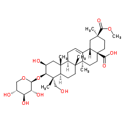 美商陆皂苷 B