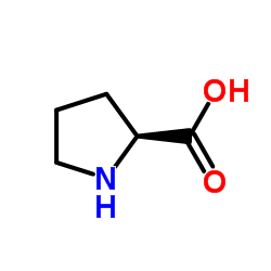DL-脯氨酸