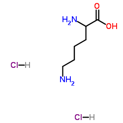 赖氨酸二盐酸盐