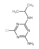 二丁基阿特拉津