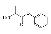 苯丙氨酸