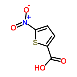 5-硝基噻吩-2-甲酸