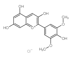 氯化锦葵色素