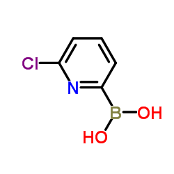 6-氯吡啶-2-硼酸