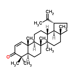 算盘子酮