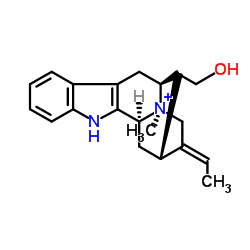 马枯素 B