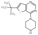 6-叔丁基-4-哌嗪噻吩[3,2-D]嘧啶