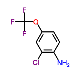 2-氯-4-(三氟甲氧基)苯胺