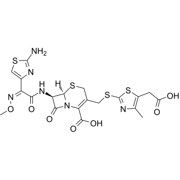 头孢地嗪