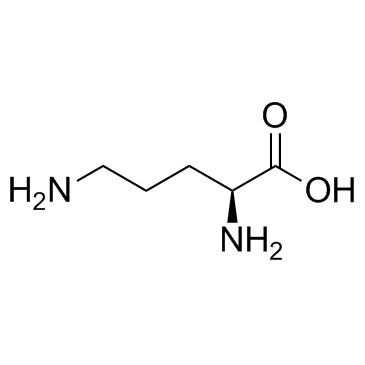 鸟氨酸