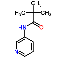 3-特戊酰胺基吡啶