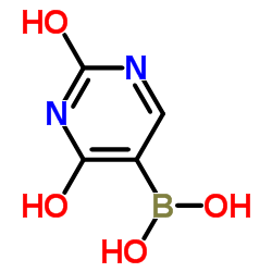 2,4-二羟基-5-嘧啶硼酸