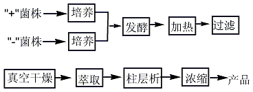 7235-40-7 preparation