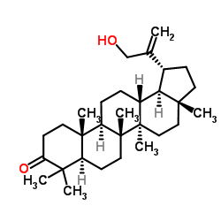 30-羟基羽扇-20(29)-烯-3-酮
