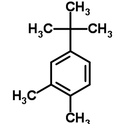 4-叔丁基邻二甲苯