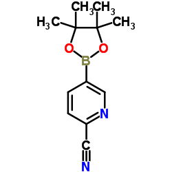 2-氰基吡啶-5-硼酸频哪醇酯