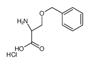 O-苄基-L-丝氨酸盐酸盐