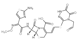 头孢噻林