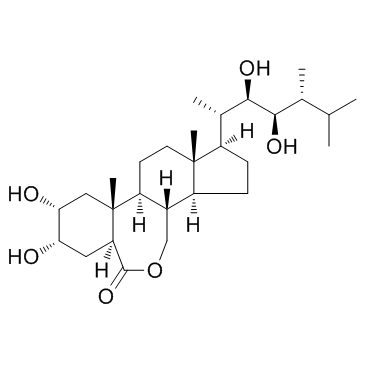 天丰素