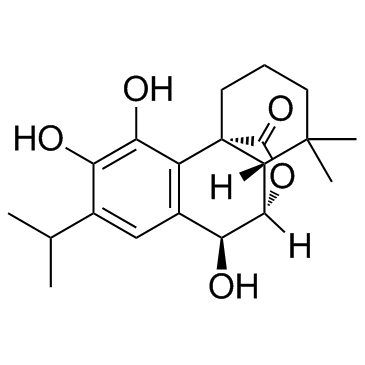 迷迭香酸