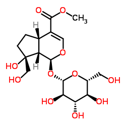 Galioside