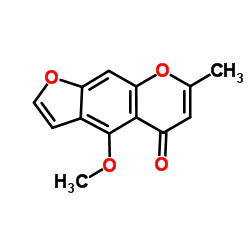齿阿米素