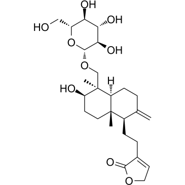 穿心莲内酯