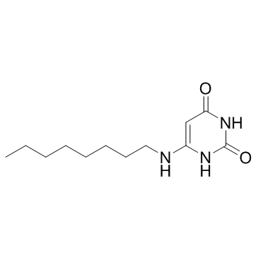6-非洲统一组织
