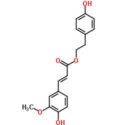 4-羟基苯乙基 反式-阿魏酸酯