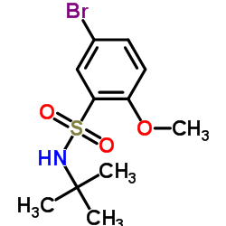 5-溴-N-叔丁基-2-甲氧基苯磺酰胺