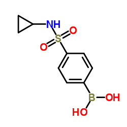 N-环丙基-4-硼苯磺酰胺