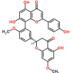 8-[5-[(2S)-3,4-二氢-5-羟基-7-甲氧基-4-氧代-2H-1-苯并吡喃-2-基]-2-甲氧基苯基]-5,7-二羟基-2-(4-羟基苯基)-4H-