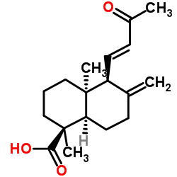 等效-14,15-二去甲-13-氧代赖百当-8(17),11-二烯-18-酸