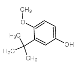 2-叔丁基-4-羟基茴香醚