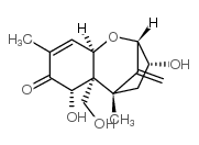 去环氧脱氧雪腐镰刀菌醇