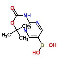 [2-(叔丁氧羰基氨基)嘧啶-5-基]硼酸