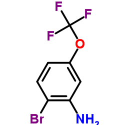 2-溴-5-(三氟甲氧基)苯胺