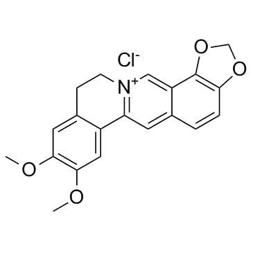 Epiberberine chloride