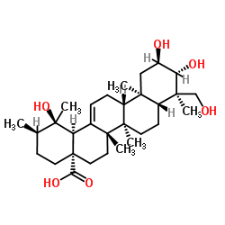 2ALPHA,3ALPHA,19ALPHA,23-四羟基乌苏-12-烯-28-酸