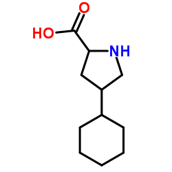 链激酶