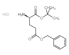 D-谷氨酸-γ-苄酯-α-叔丁酯盐酸盐
