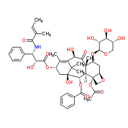 7-木糖基-10-去乙酰基三尖杉宁碱