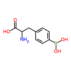4-硼基-DL-苯丙氨酸