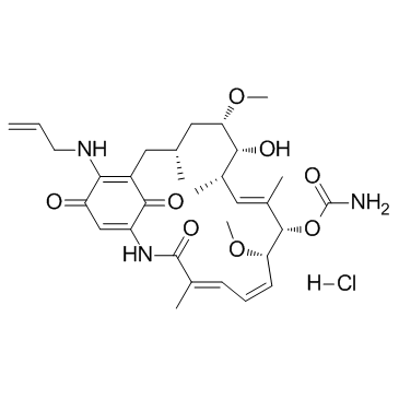 Tanespimycin Hydrochloride